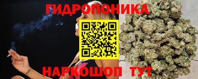 СК Краснодар