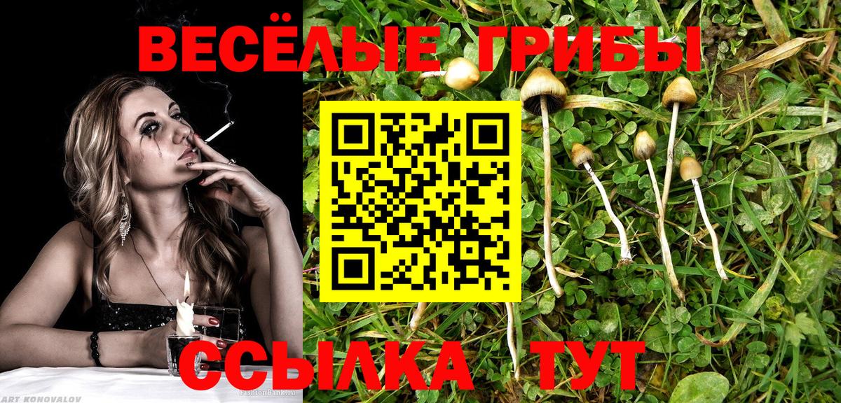 Клинцы  Галлюциногенные грибы ЛСД  Вход с VPN  Галлюциногенные грибы GOLDEN TEACHER 