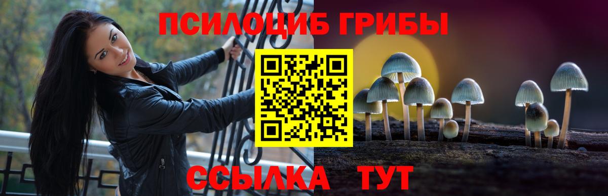 Галлюциногенные грибы GOLDEN TEACHER Клинцы